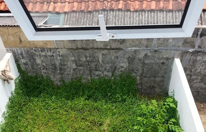 11009952_10204054415266175_2955611961546859723_n