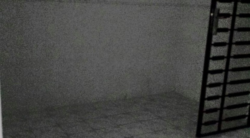 11061692_10204572628301177_7711776189094317252_o