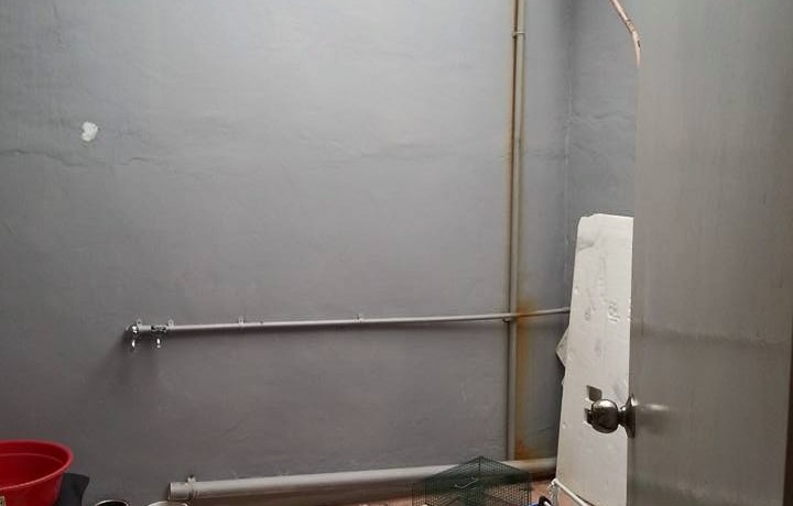 11796358_10204655598535381_4129607329558776675_n