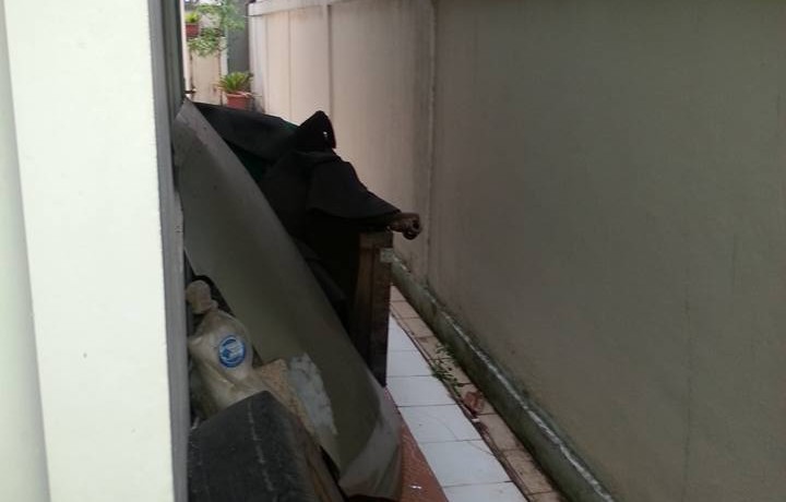 12118655_10204979039581205_4423248921720907066_n