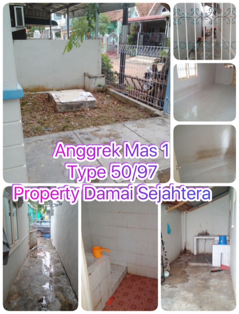 Anggrek Mas 1