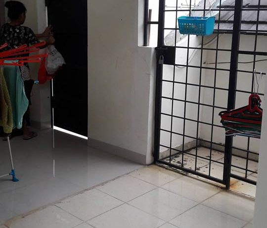 15970518_10208084684220380_1108292966_n