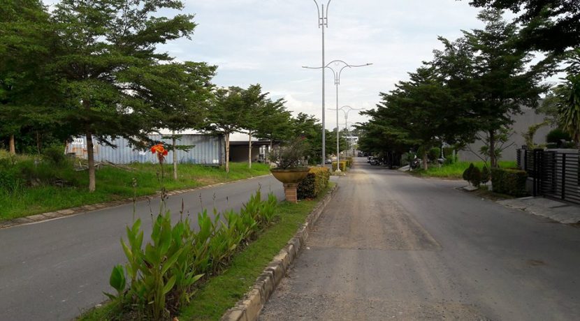 16128147_1235228233197655_784485691_n