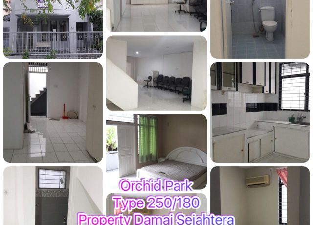 WhatsApp Image 2017-02-03 at 13.56.02