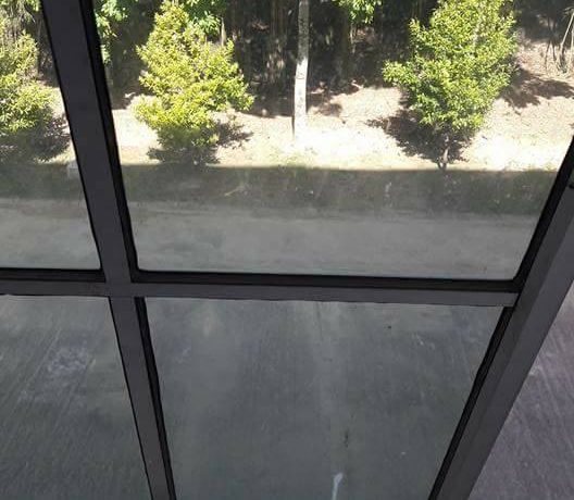 17155979_1520129308029757_5336259039350448804_n