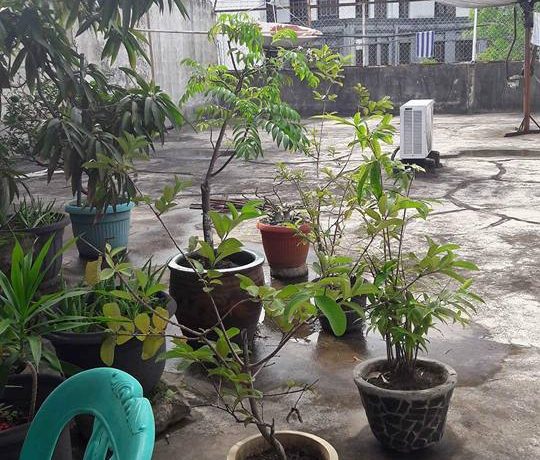 18222646_10208983049798958_179455307557243676_n