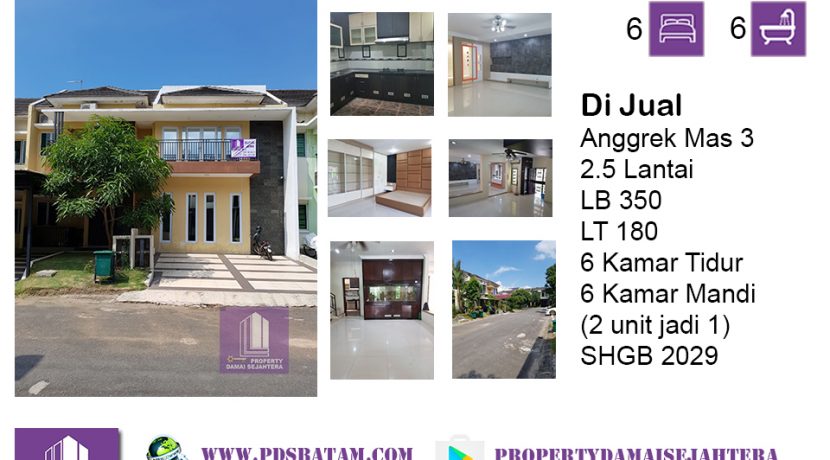 Anggrek mas 3 ani