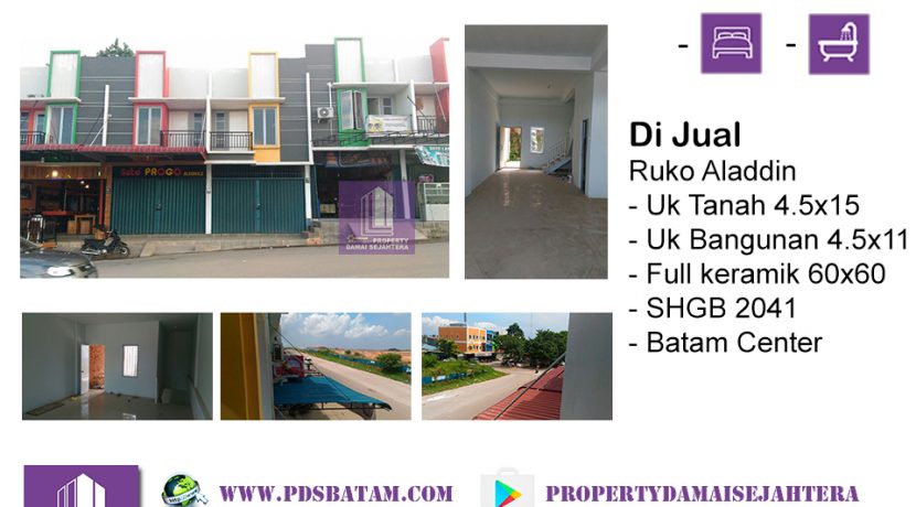 Ruko Aladin Batm c ani bru