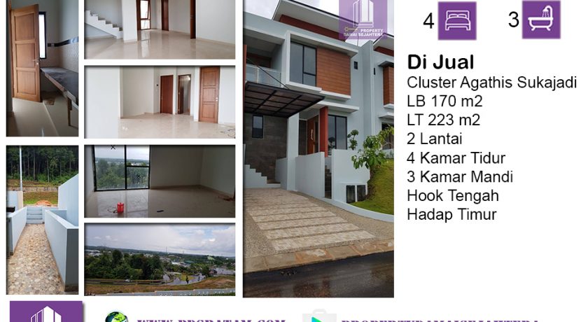 Cluster Agathis Sukajadi Ani