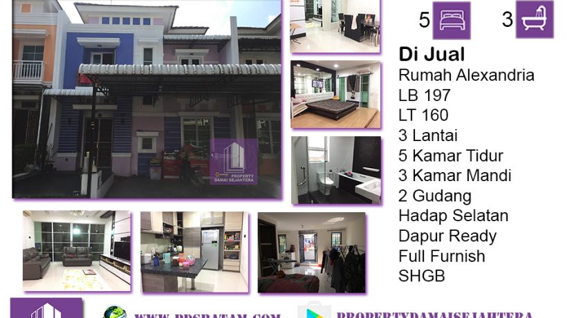 Alexandria 2.5m nego Edy