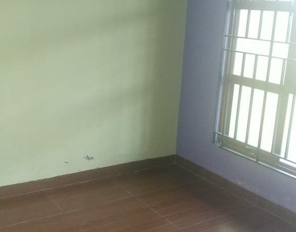 84558399_184921712576652_8171989378806054912_n