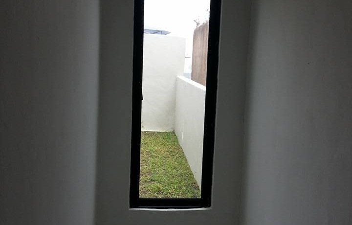 11215141_10204888304032873_2947182610852937236_n