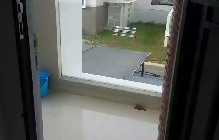 12208430_10205152520478119_3185044941245908762_n