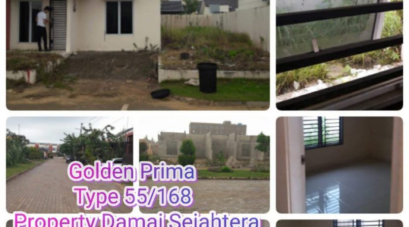 14348746_10205108021780331_318090555_n