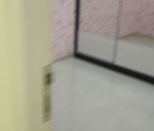 14826363_10207470744992283_1270360207_n