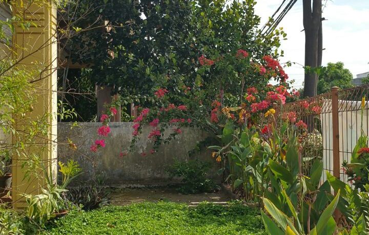 whatsapp-image-2016-10-07-at-16-47-15