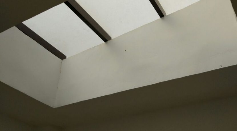 whatsapp-image-2016-11-26-at-10-05-141