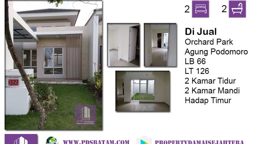 orchard park ping ping