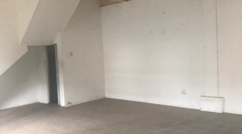 51221319_1993734290695279_8034607496859484160_n